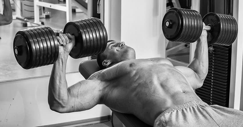 ABİDİNPAŞA BODY BUILDING – VÜCUT GELİŞTİRME