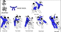 JAPON DÖVÜŞ SANATI JİU-JİTSU