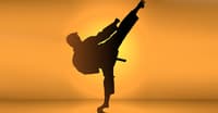 YENİ BAŞLAYANLAR İÇİN KARATE YENİ BAŞLAYANLAR İÇİN KARATE