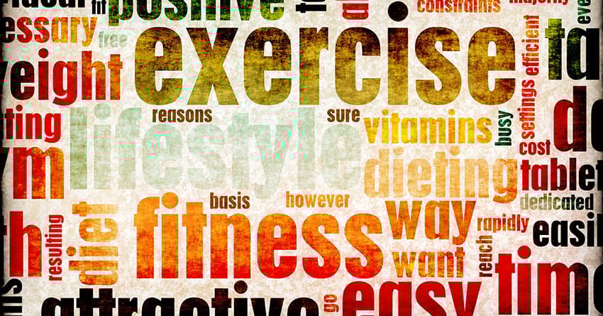 DİKMEN SPOR SALONU FİYATLARI