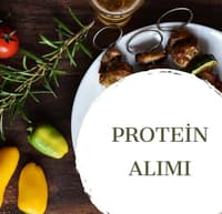 PROTEİN ALIMI