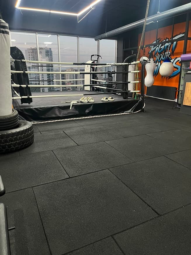 Alfa Fight Studio