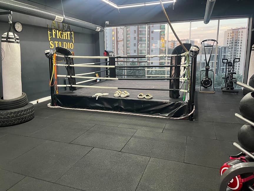 Alfa Fight Studio