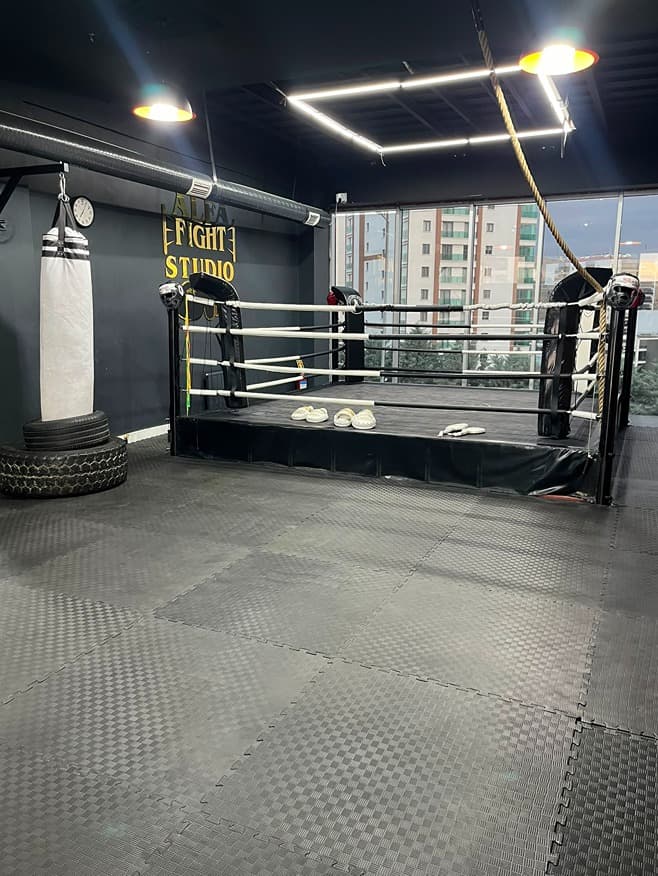 Alfa Fight Studio