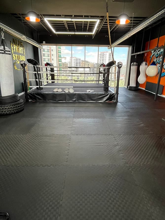 Alfa Fight Studio