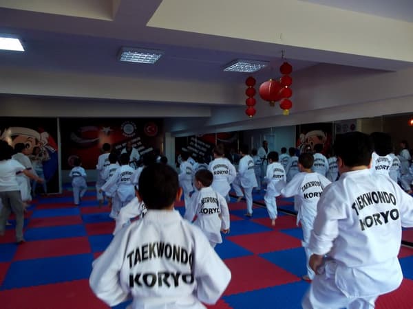 Yaşamkent Koryo Spor Kulübü - 13. Fotoğraf