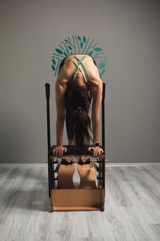 Jungle Pilates Training Studio - Demetevler Pilates Cadillac - 4. Fotoğraf