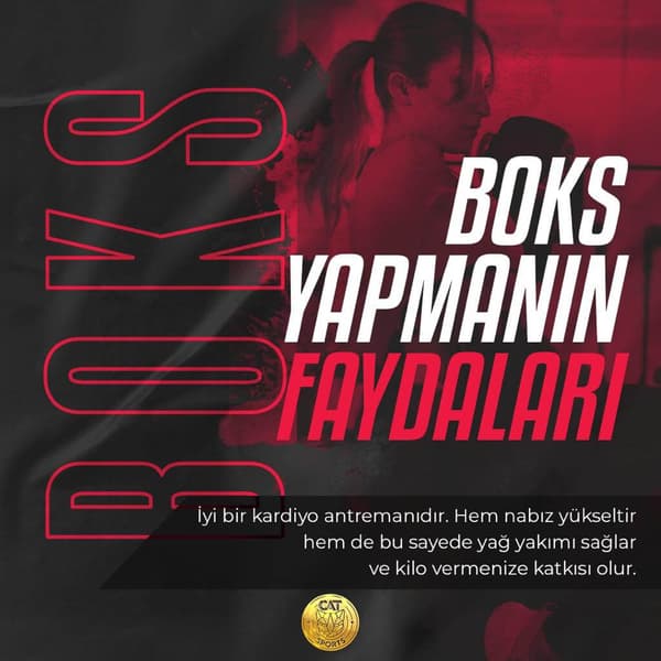 Cat Sports - 7. Fotoğraf