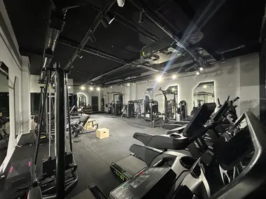 Cat Sports Cat Sports