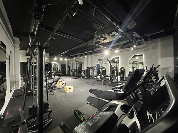 Cat Sports - 1. Fotoğraf Cat Sports - 1. Fotoğraf