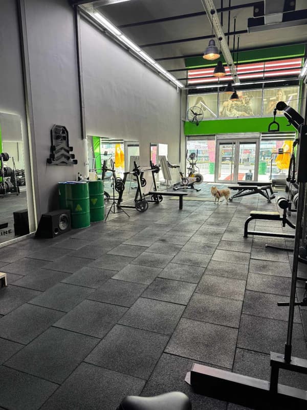 Roar Training Studio - 9. Fotoğraf