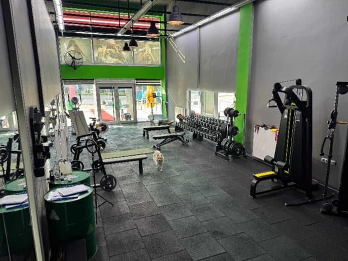 Roar Training Studio - 4. Fotoğraf