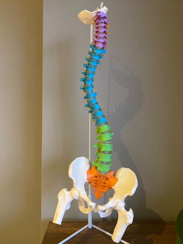 Fizyoterapist Hacer Han Harmony Pilates - 10. Fotoğraf