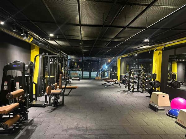 Cat GYM - 1. Fotoğraf