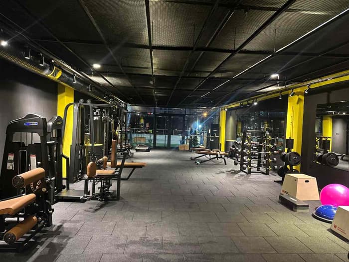 Cat GYM - 1. Fotoğraf