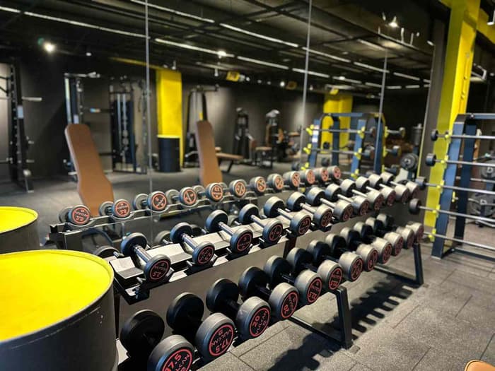 Cat GYM - 3. Fotoğraf
