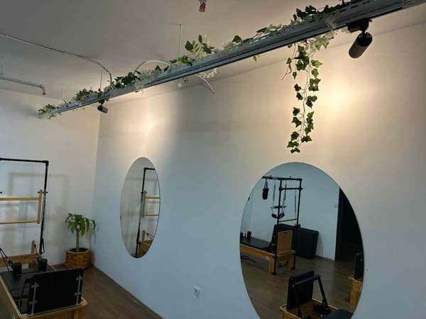 Cat GYM - 9. Fotoğraf