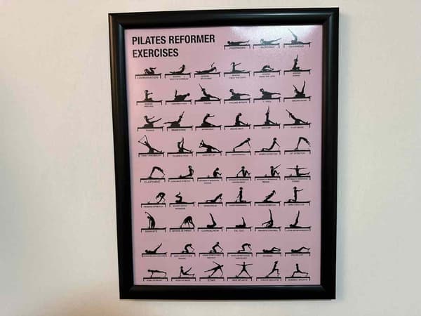 Cat GYM - 11. Fotoğraf