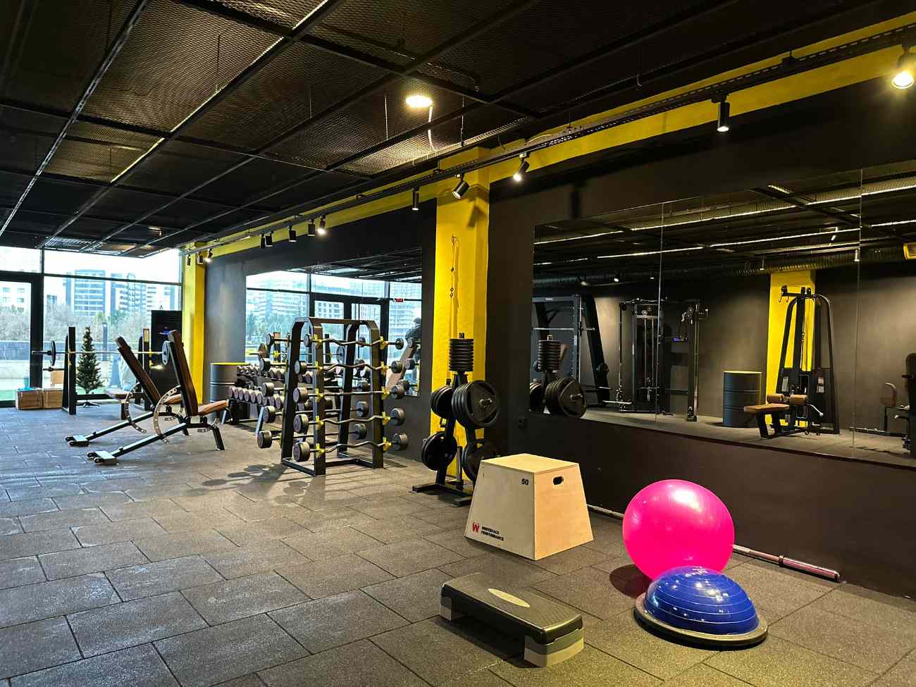 Cat GYM - 4. Fotoğraf