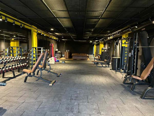 Cat GYM - 17. Fotoğraf