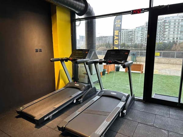 Cat GYM - 6. Fotoğraf