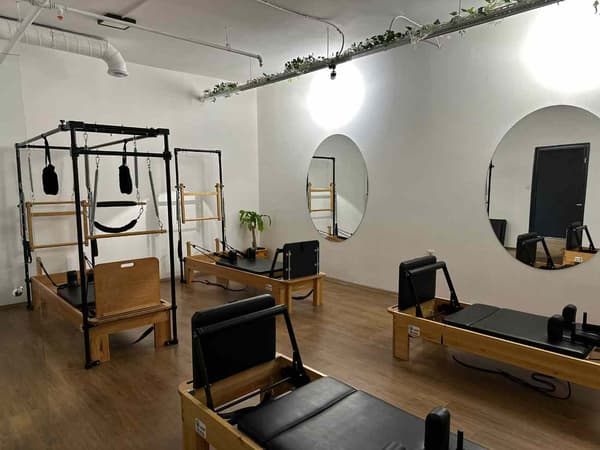 Cat GYM - 26. Fotoğraf