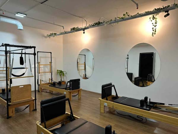 Cat GYM - 12. Fotoğraf