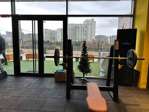 Cat GYM - 8. Fotoğraf