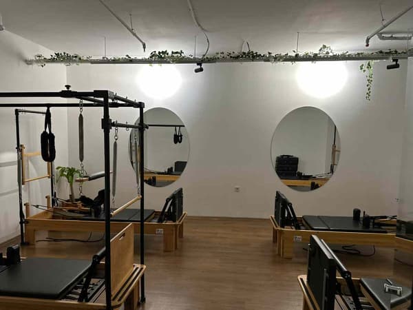 Cat GYM - 19. Fotoğraf