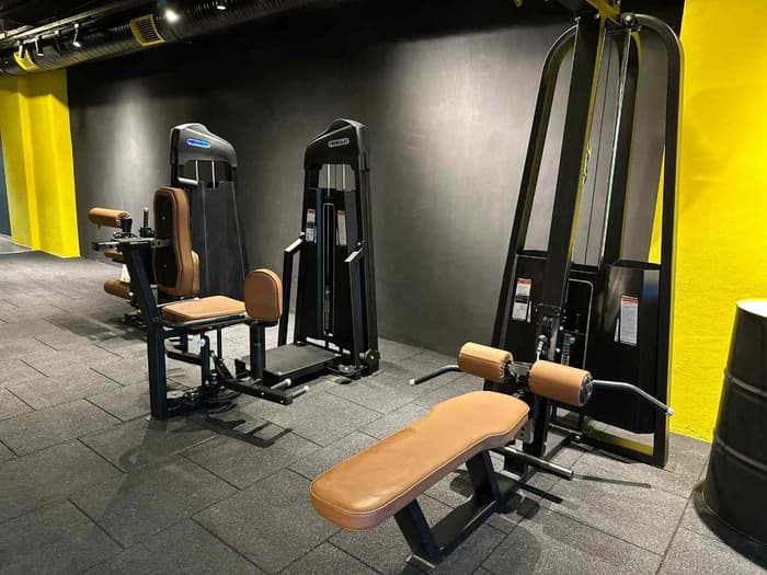 Cat GYM - 5. Fotoğraf