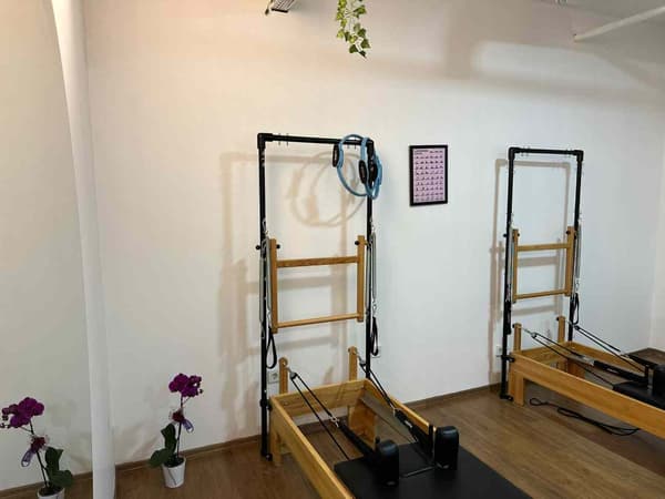 Cat GYM - 7. Fotoğraf