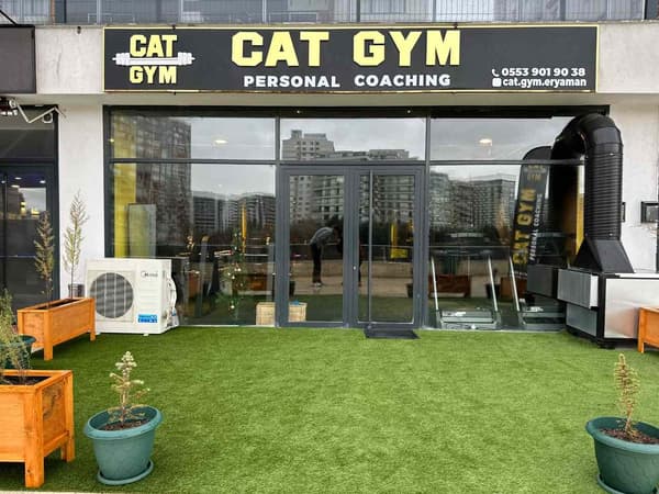 Cat GYM - 24. Fotoğraf
