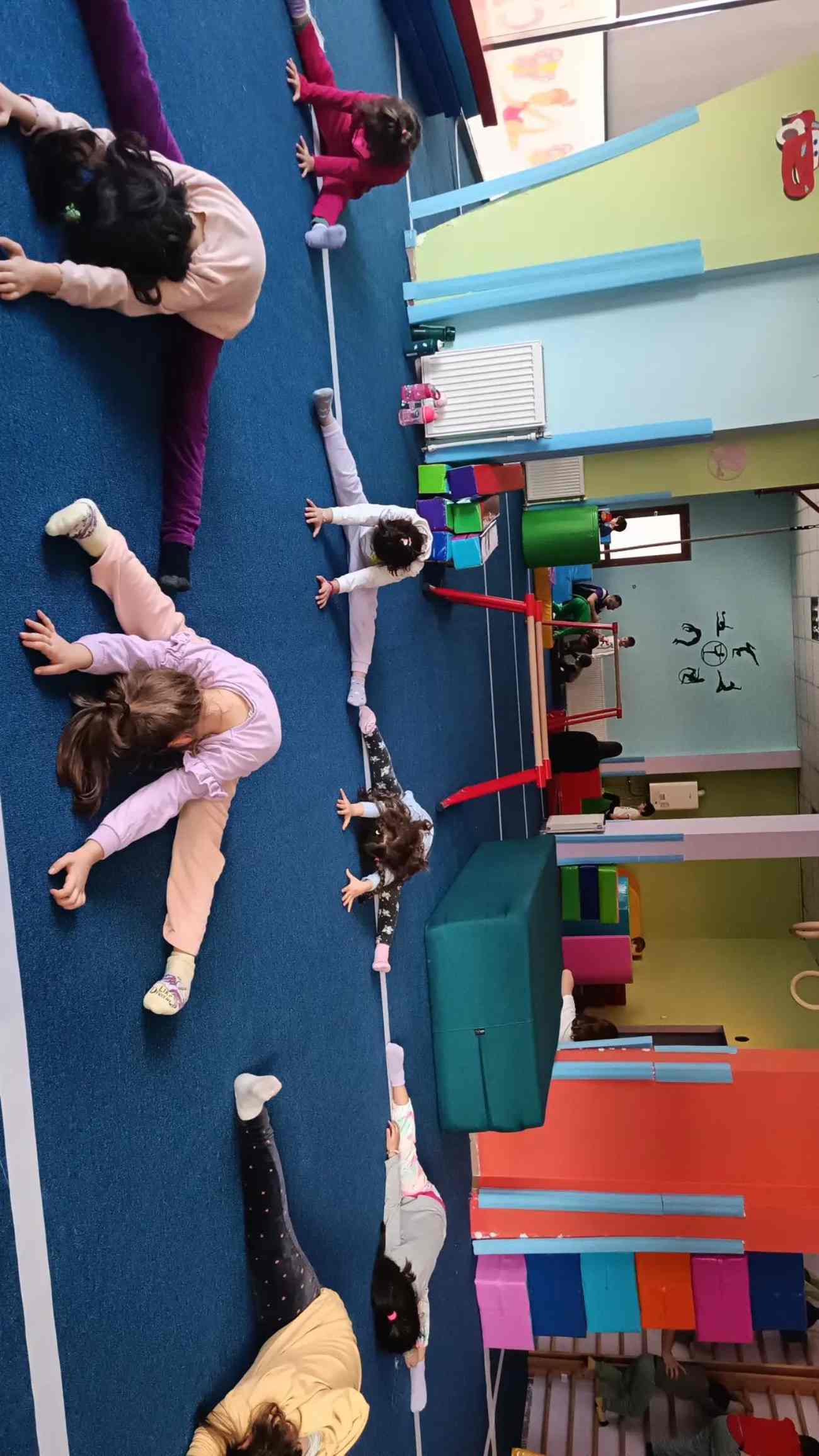 Vega Akademi Cimnastik Spor Kulübü