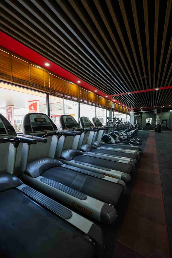 Neolife Gym - Yeni Batı - 15. Fotoğraf