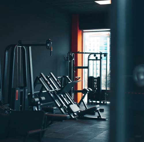 Gym Skull - 3. Fotoğraf Gym Skull - 3. Fotoğraf